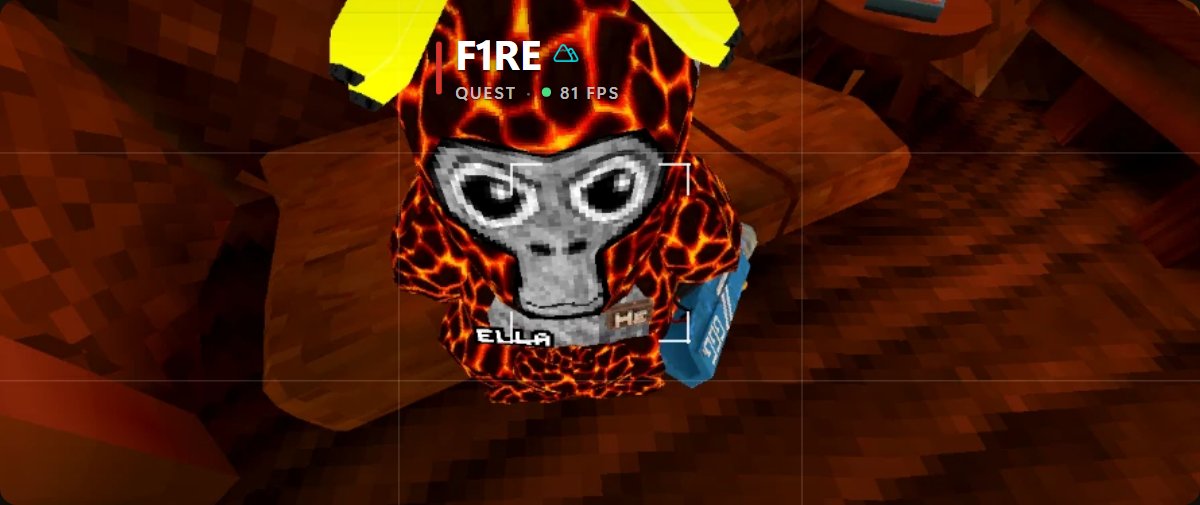 A XERX name tag above a player: their name, platform and frame rate